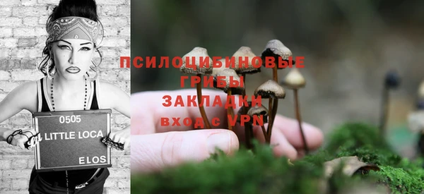 бошки Богородск
