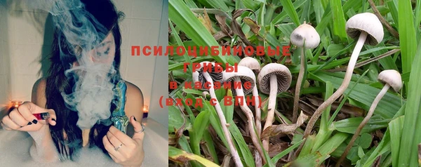 кокаин колумбия Богданович